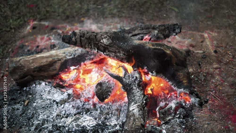 A closeup short of a smoldering campfire with glowing embers and charred logs. A closeup short of a smoldering campfire with glowing embers and charred logs.