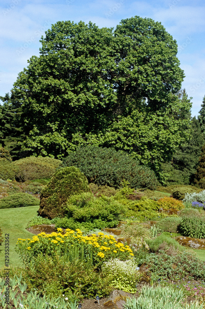 les jardins botaniques de Rospico, Névez , 29, Finistere, France