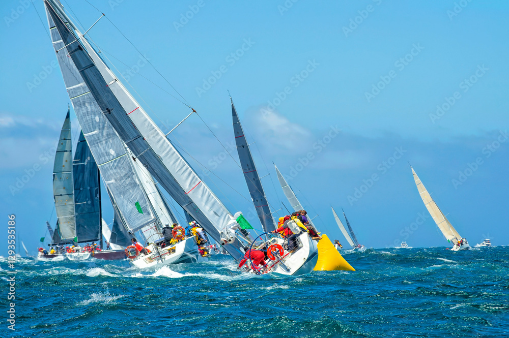 Naklejka premium Sailing yachts regatta. Yachting. Sailing race Australia
