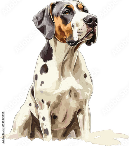 Great Dane Vector Illustration, Isolated on White