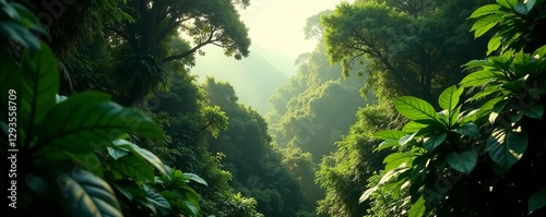 Dense foliage in sepia tone, jungle canopy in tropical forest, foliage, greenery