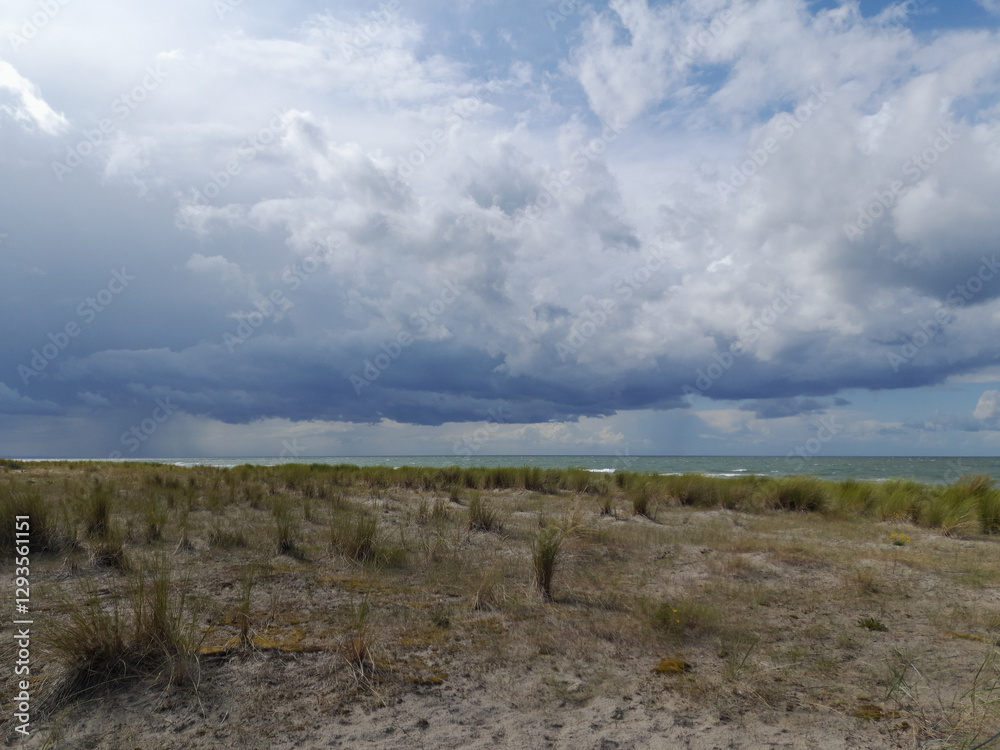 Strand, Düne, Ostsee, Graal Müritz, Rostock Strand, Düne, Ostsee, Graal Müritz, Rostock