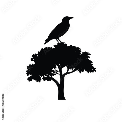 Black Silhouette bird Perched on Branches of Various Lengths
