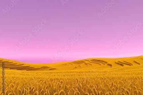 Golden wheat fields stretch under vibrant pink sky, evoking sere photo