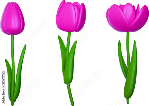 Tulip flower with pink buds in vector 3d realistic style. Set of botanical plant elements for branding holiday or events. Beautiful glossy illustration.