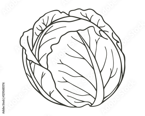 Hand-drawn burger sketch illustration. Vintage-style etching, perfect for packaging, prints, menus, and digital designs.