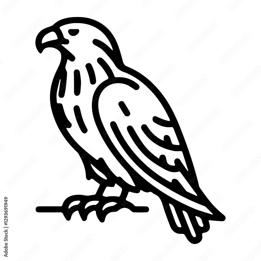 Fototapeta premium the portrait of an eagle
