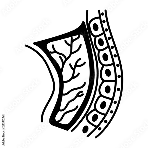 A hand drawn icon of an endometrium layer 
