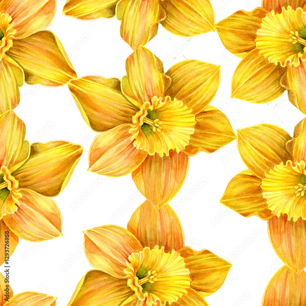 Obraz premium yellow flowers of blossomed daffodils in botanical style. hand-painted with brush and watercolor. Seamless pattern. For packaging design, wallpaper or paper