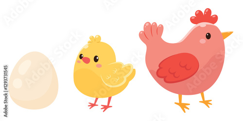 Egg, chicken and adult chicken. Vector illustration in flat style