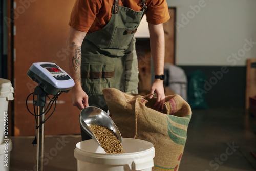 Wide shot of unrecognizable tattooed man metal scoop to fill huge plastic bucket with unroasted coffee beans to weight them