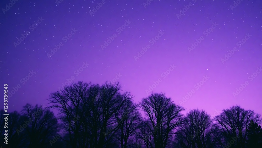 Naklejka premium Lavender Sky with Stars Over a Tranquil Forest