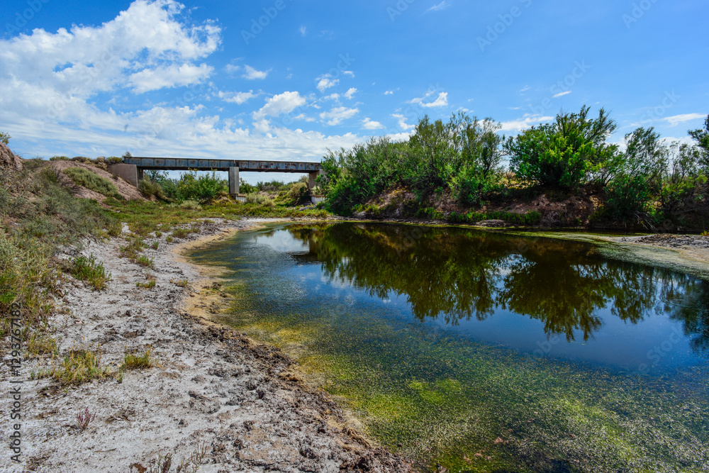 Fototapeta premium Bridge on Salado River or Chadileuvu River, La Reforma city, La Pampa Province, Argentina