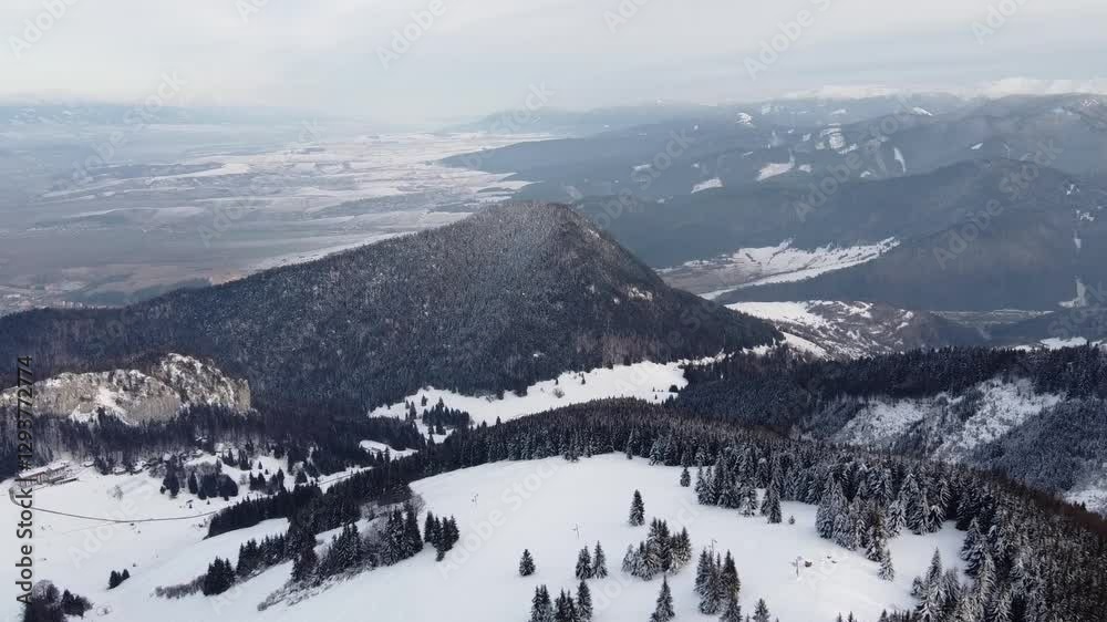 Aerial View of Snowy Mountains and Forested Valley in Winter Aerial View of Snowy Mountains and Forested Valley in Winter