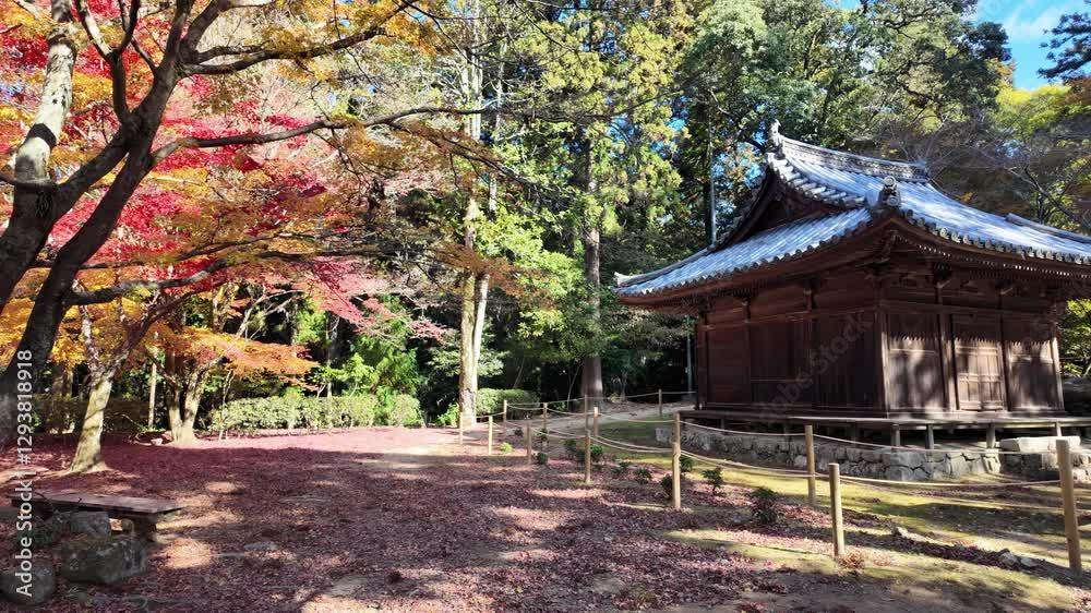 Vibrant autumn foliage in a serene landscape at Engyoji mountain Shosha, Himeji, Japan Vibrant autumn foliage in a serene landscape at Engyoji mountain Shosha, Himeji, Japan