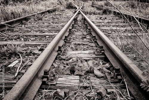 Obraz na płótnie stillgelegte Bahngleise w salonie