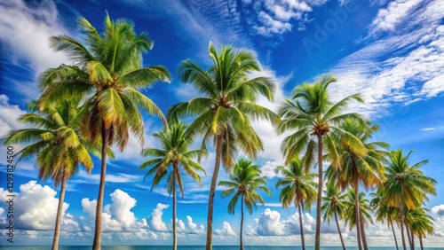 Wallpaper Mural Palm trees stand tall against a bright blue sky with soft white clouds , clear blue sky, tropical beach scenery Torontodigital.ca