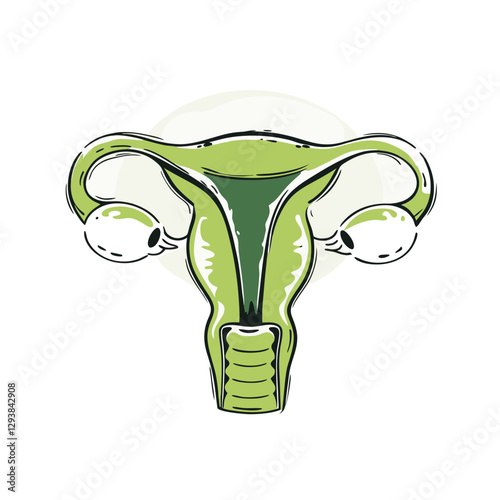 Vector illustration of the female reproductive system, featuring the uterus, ovaries, and fallopian tubes in a stylized medical diagram.