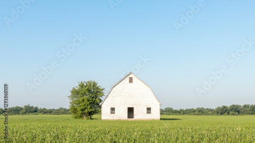 White Barn in a Green Field, Tranquil Rural Scene, Ideal for Stock Photography photo
