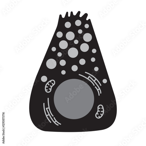 acinar cell pancreatic glyph icon