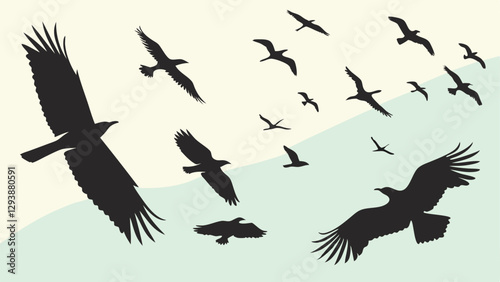 Birds silhouettes collection