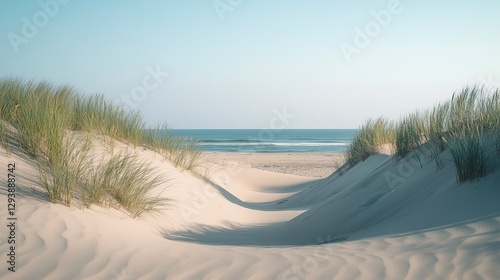 Sand dunes on beach