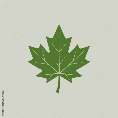A Flat-Style Green maple leaf on a Plain White Background