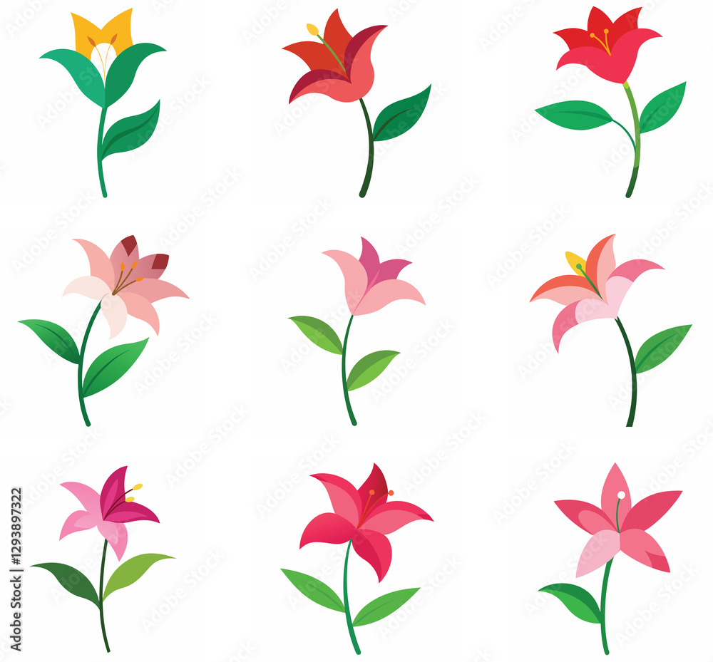 Obraz premium A Lily flower with leaf on a white background on a bundle vector illustration.