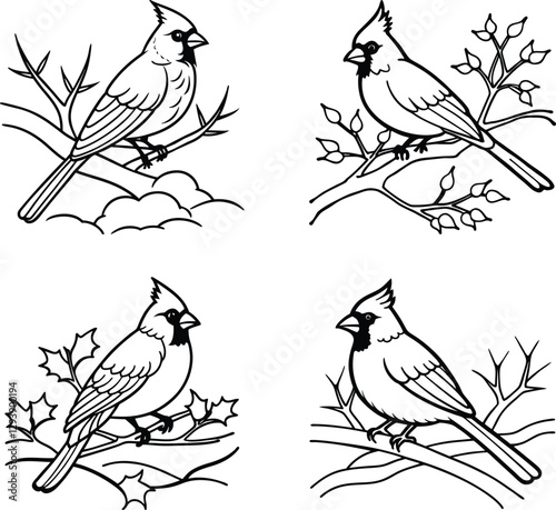 Brilliant Beauty: A Red Cardinal Resting on a Snowy Branch