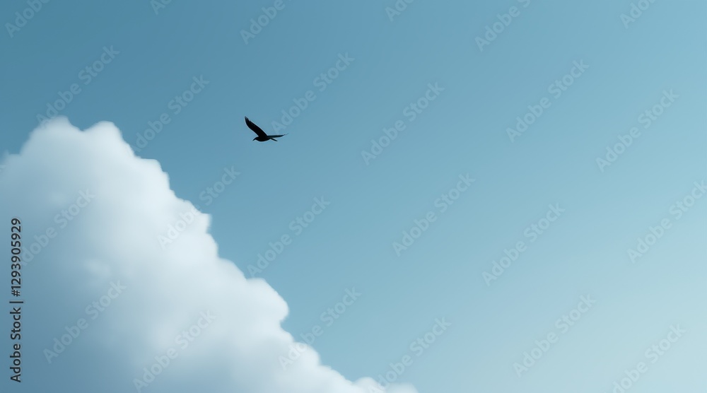 Solitary Bird in Flight Against a Pale Blue Sky and Puffy White Cloud Solitary Bird in Flight Against a Pale Blue Sky and Puffy White Cloud