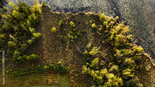 Wonderful Natural Ecosystem Background
