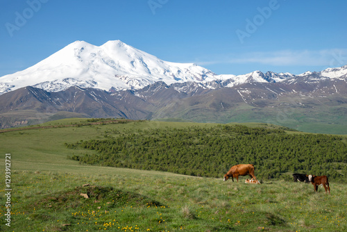 Picturesque landscape with a view of the Elbrus. Republic of Kabardino-Balkaria, Russia