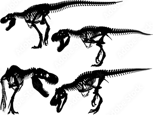 vector sketch of trex dinosaur bone fossil design for display in a museum