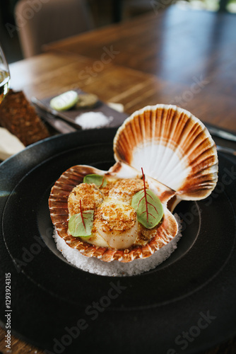Grilled scallops in a shell with a crispy breadcrumb topping, adorned with fresh microgreens. Gourmet seafood appetizer presented on a black plate with a bed of salt