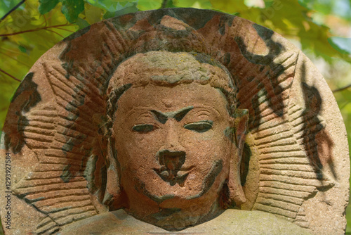 Buddha Portrait
