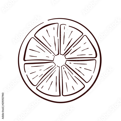 Lemon round slice in line art style. Tropical summer citrus fruit piece with segments. Design for menu, fruit and grocery store. Vector illustration isolated on a white background.