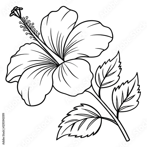 Minimalist Hibiscus Line Art with Stamen