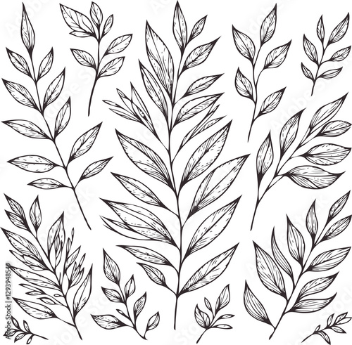 Illustrator Artwork Hand Drawn Vintage Sketch Drawing, green leaves Line Art, Plants Collection branches Floral elements, set of Botanical Illustration Outline leaf, branch Black And White leaves