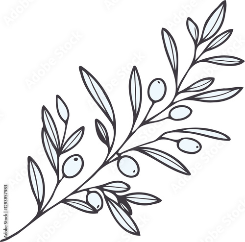 Elegant Floral Branch Illustration. Olive illustration, laurel wreath vector, black olives on a branch. 
Olive branch with leaves and berries. Black and white vector illustration. 
