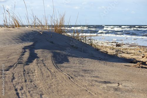 Quadro su tela a sand dune with tall grass and the sea in the background.