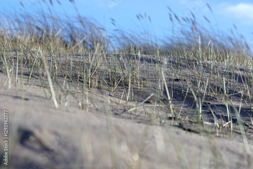 
sand with grass, sky and a blue spot in the upper right corner.
