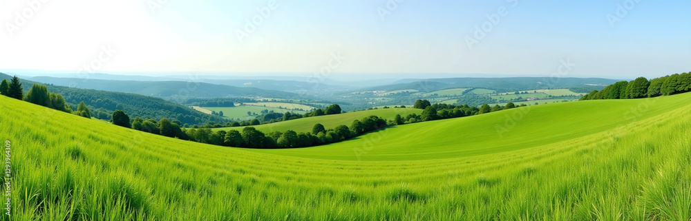 Obraz premium Panoramic View Of A Lush Green Meadow Landscape With Gentle Hills And Serene Atmosphere Stretching Far Into The Distance.