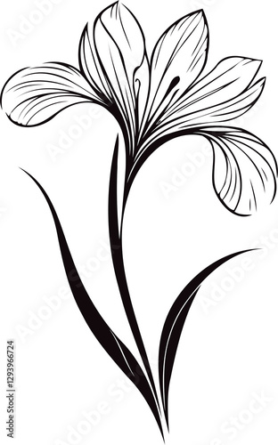 PNG Hand drawn iris sketch, irises buds flower, leaf, set of spring flowers vector, illustration outline drawing, botanical black and white line art, lineart leaves and stems in engraving