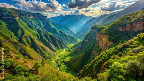 Warm sunlight filters through lush greenery in Chicamocha Canyon, casting dappled shadows on the canyon floor, tropical vegetation, greenery photo