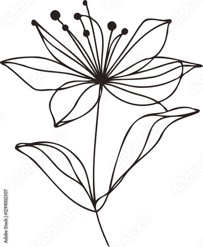 PNG Sketch Illustration, outline black and white flower, floral drawing of wild flowers, Doodle Set of leaves and buds Floral Art of Plants, line art lily pattern