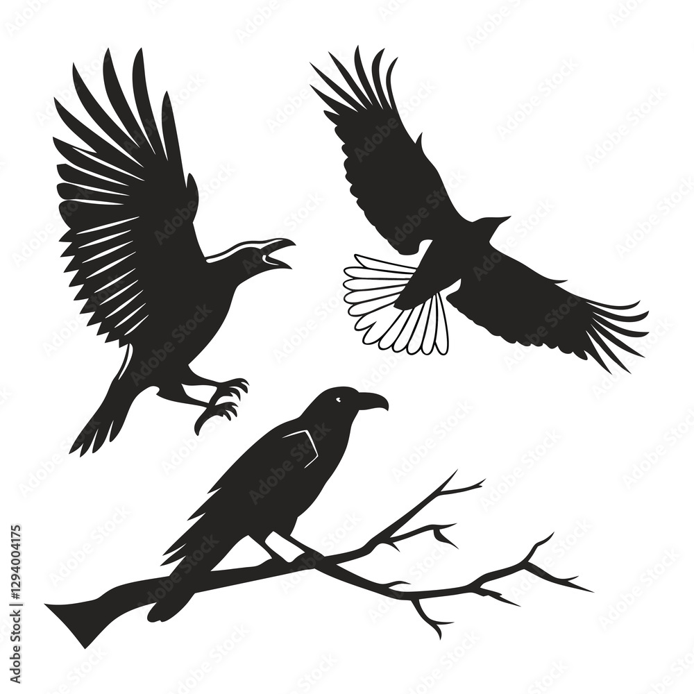 Obraz premium pigeon silhouette vector