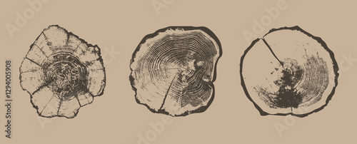 Cross sections of tree rings. Collection of tree stumps isolated. Slices of tree with growth rings, slabs of tree trunk. Natural cut wood. Ring pattern, wood texture. Vector design background elements