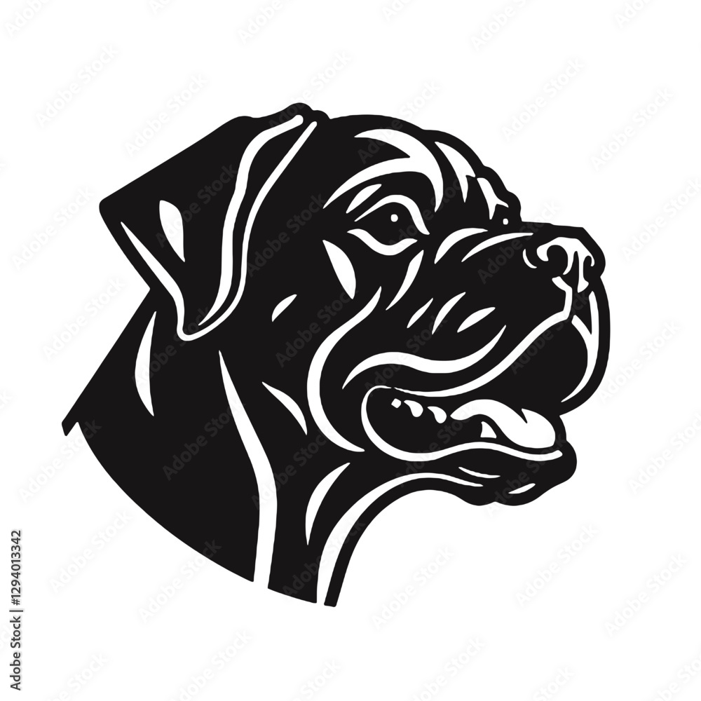 Fototapeta premium head of boxer dog