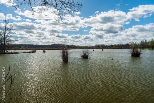 Pond with reeds in PR Rezavka near Ostrava city in Czech republic photo