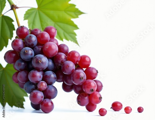 Wallpaper Mural Fresh Red and Blue Grapes on the Vine Torontodigital.ca